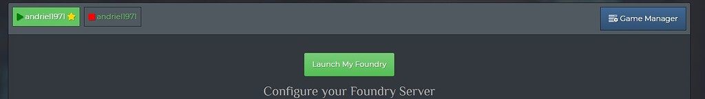 Server page - Help - The Forge